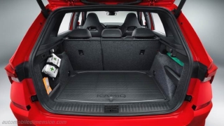 SKODA Kamiq  1.0 TSI 115 CV DSG Selection
