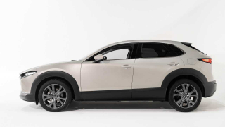 MAZDA CX-30 e-Skyactiv-G M Hybrid 2WD Homura